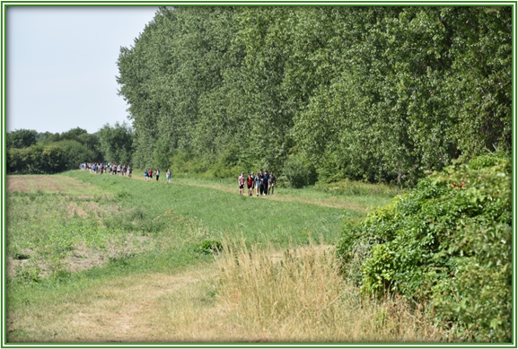 Students walking in the fields