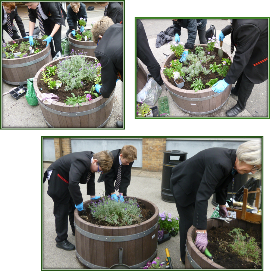 students planting tubs in the playground