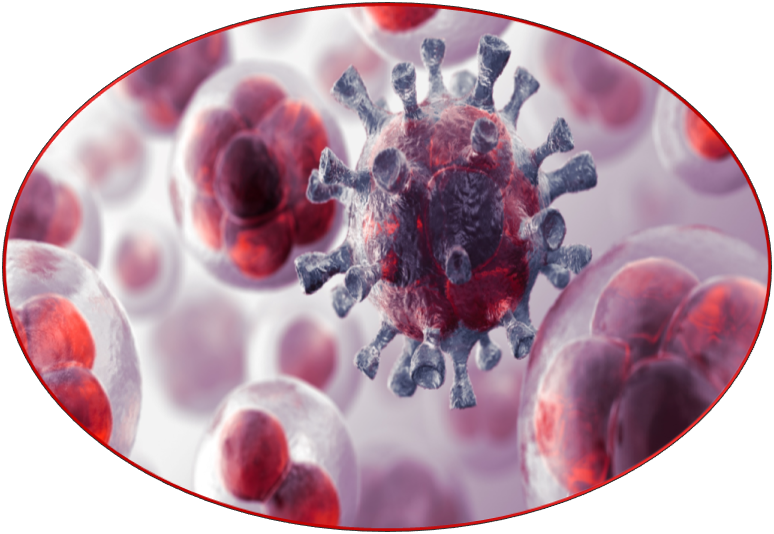 Cells - Biology